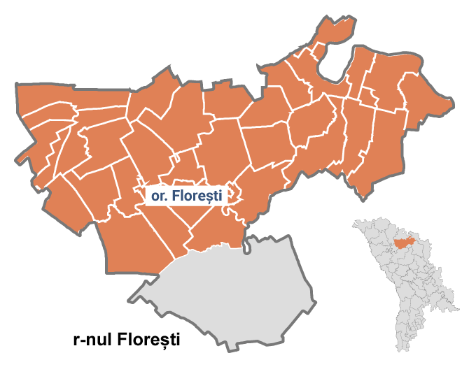 Circumscripția uninominală nr. 8, Florești la alegerile parlamentare din 2019